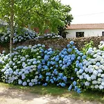 Quinta De Luou *