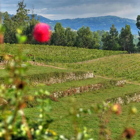 Quinta De Luou