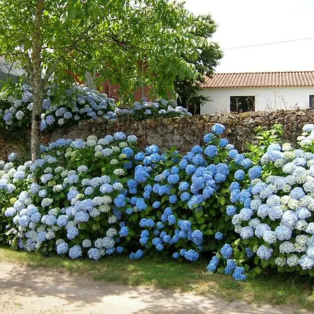 Quinta De Luou *